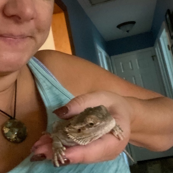 Meet your Posher, Kathy - Picture 8 of 12